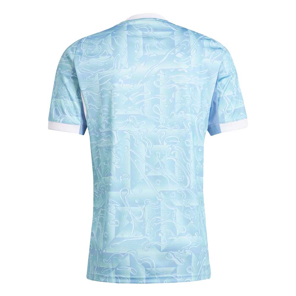 Juventus Away Jersey - Ash Blue